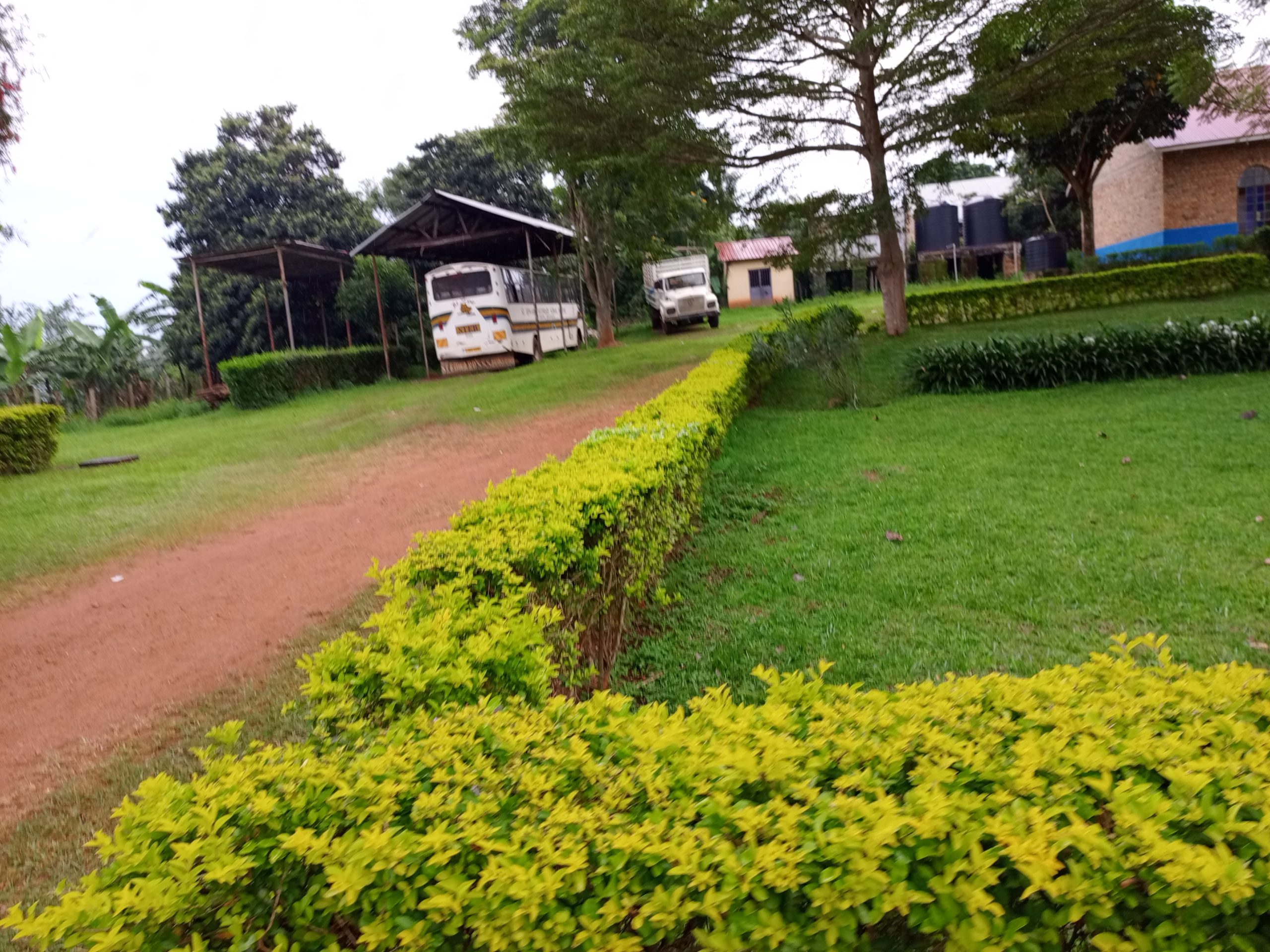 Pathways in the school compound
